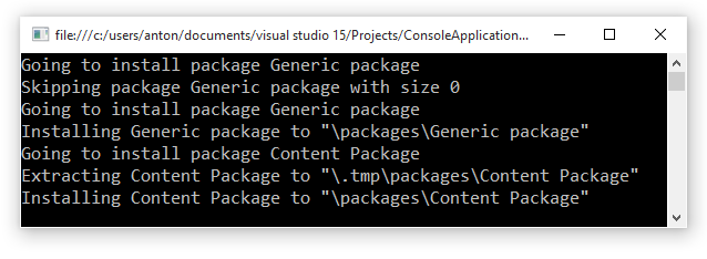 console installer output